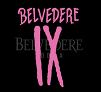 Belvedere IX Vodka Magnum (1.5 ltr)