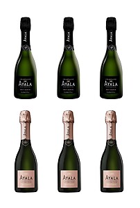 Ayala Half Bottles Mixed Case (6 x 37.5cl)