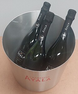 Ayala Metal Ice Bowl