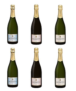 Delamotte Champagne Mixed Case (6 x 75cl) 