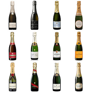 Brut Half Bottles Mixed Case (12 x 37.5cl)