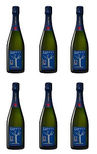 Henri Giraud Esprit Nature NV 6 X 75cl - CASE DEAL