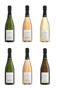 Telmont Champagne Mixed Case (6 x 75cl)
